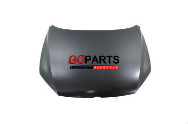 12-15 PASSAT Hood