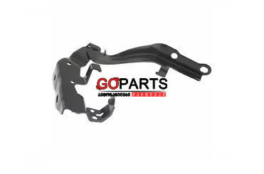 13-17 ES300H/ES350 Hood Hinge LH