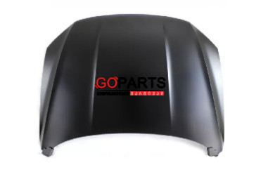 16-19 PASSAT Hood