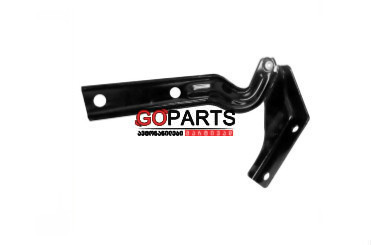 12-15 PASSAT Hood Hinge RH