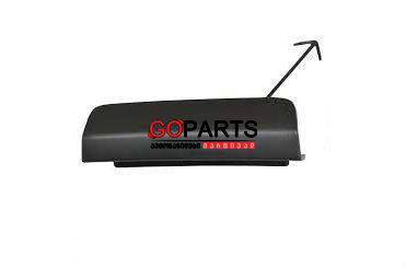 19- RAV4 Grill Tow Cover LH