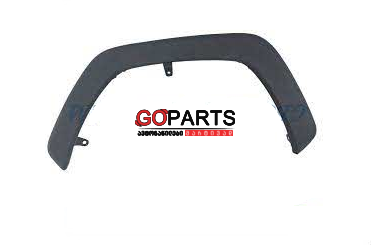 19- RAV4 Fender Molding LH