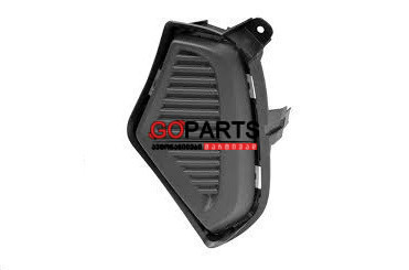 19- RAV4 Fog Cover LH