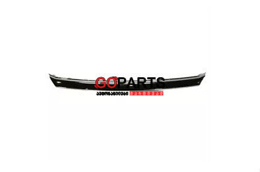 19- JETTA Grill Moulding