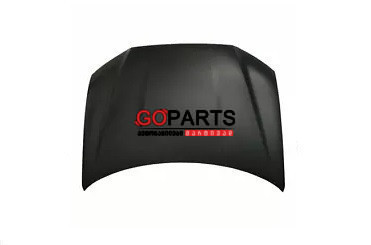 15-19 OUTLANDER Hood