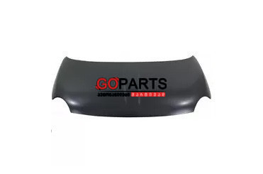 12-17 FIAT 500 Hood