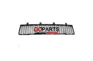 12-15 FIAT 500 Bumper Grill