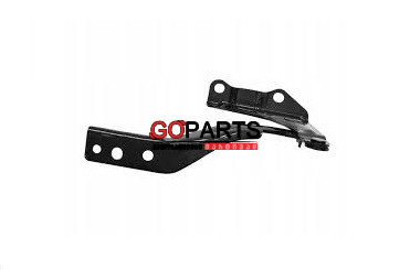 17- CR-V Hood Hinge RH