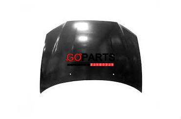 10- OUTLANDER Sport Hood