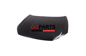 20-21 PASSAT Hood