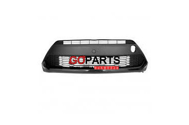 20- C-HR Bumper Grill LWR CHINA