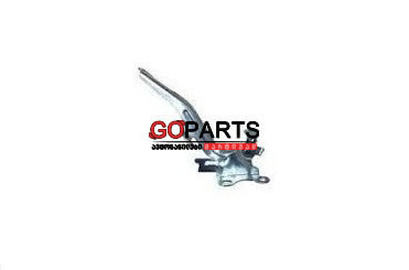 20- VENZA Hood Hinge LH