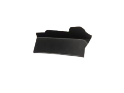 18- CAMRY Tail Lamp Covef LH